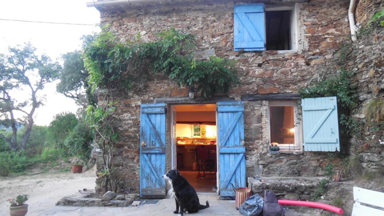 La Bergerie Villa La Garde-Freinet Exterior photo